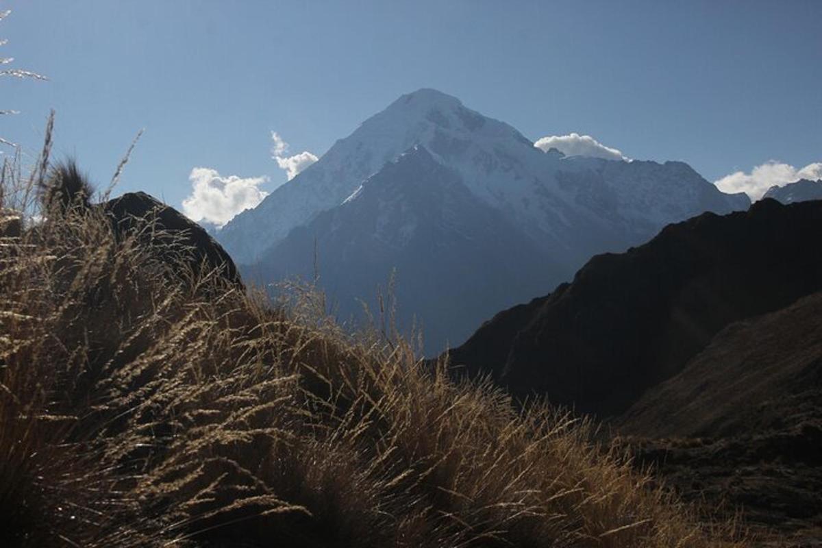 a mountain in the distance with tall grass in the foreground