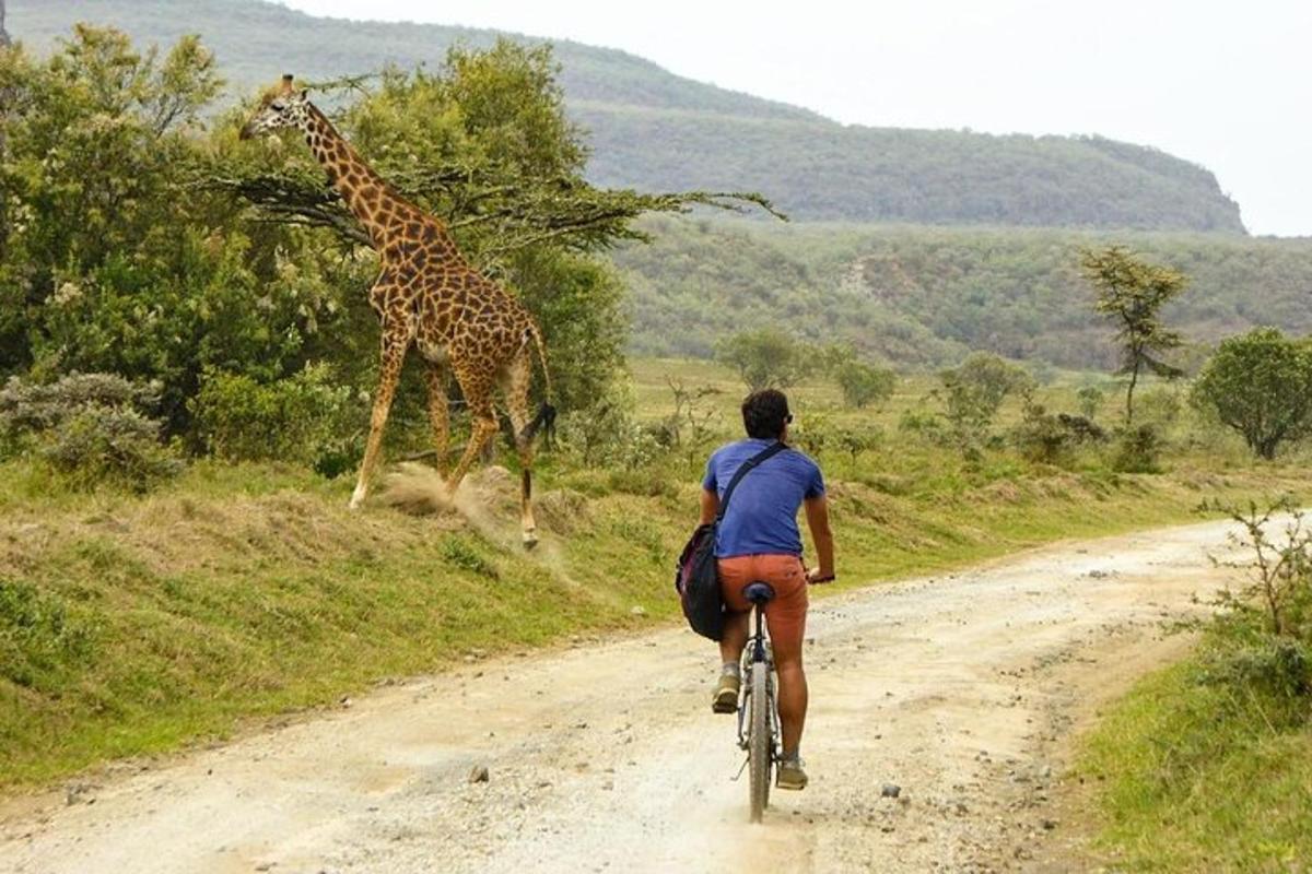 una persona anant en bicicleta per un camí de terra amb una girafa