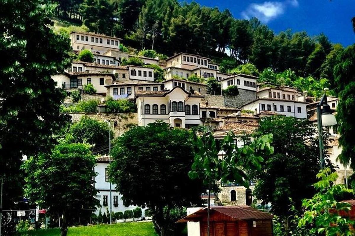 um grupo de casas em uma colina com árvores
