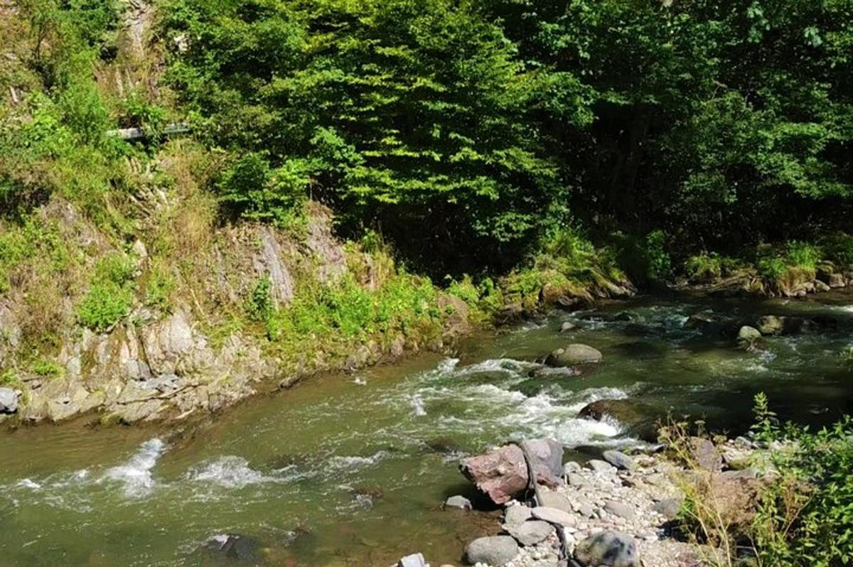 um rio com pedras e árvores ao lado