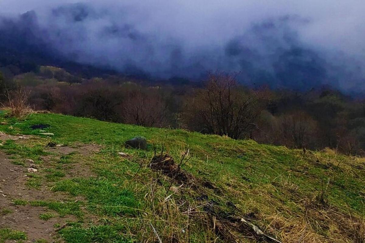 une colline herbeuse avec des arbres et des nuages en arrière-plan