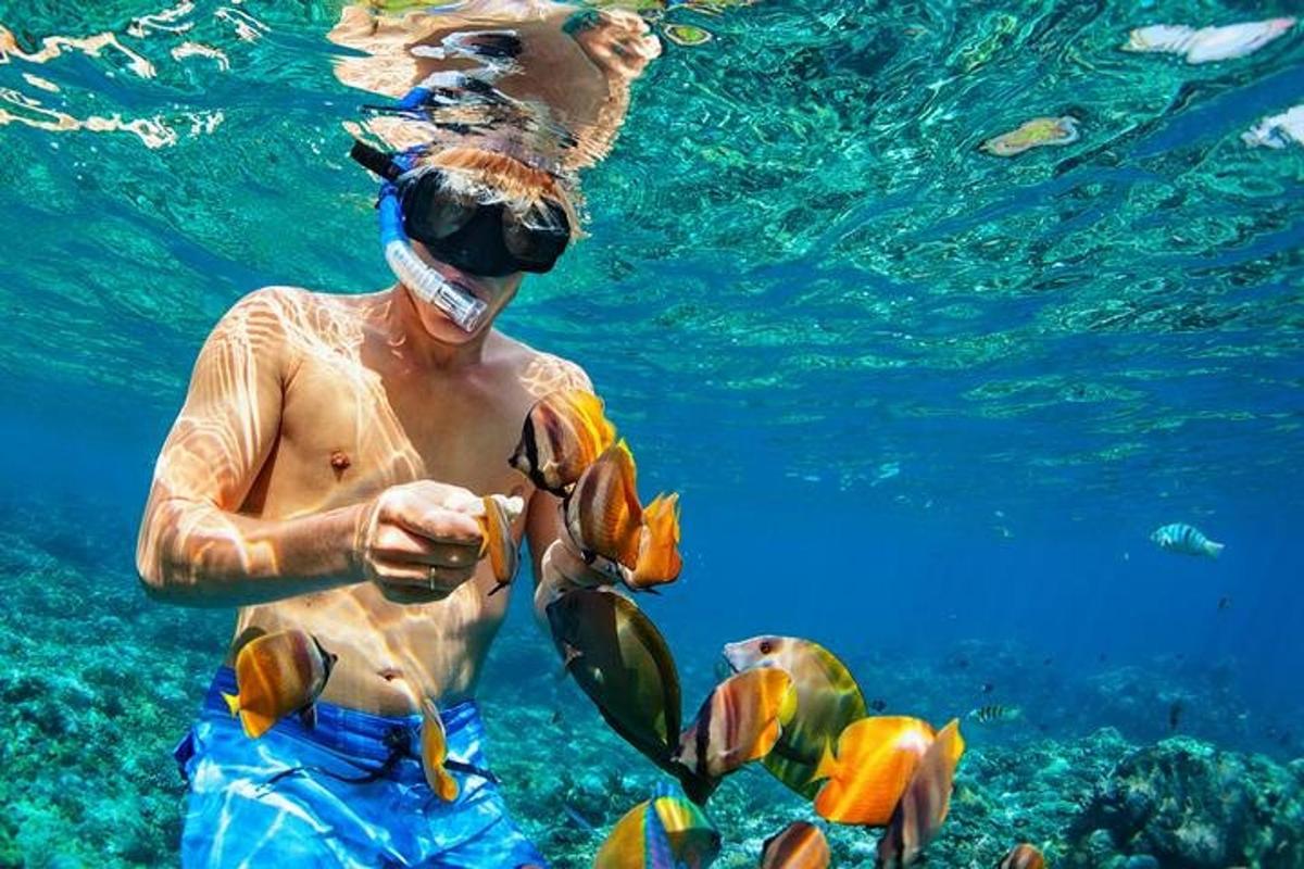 en mann i vannet med maske på seg som ser på fisk