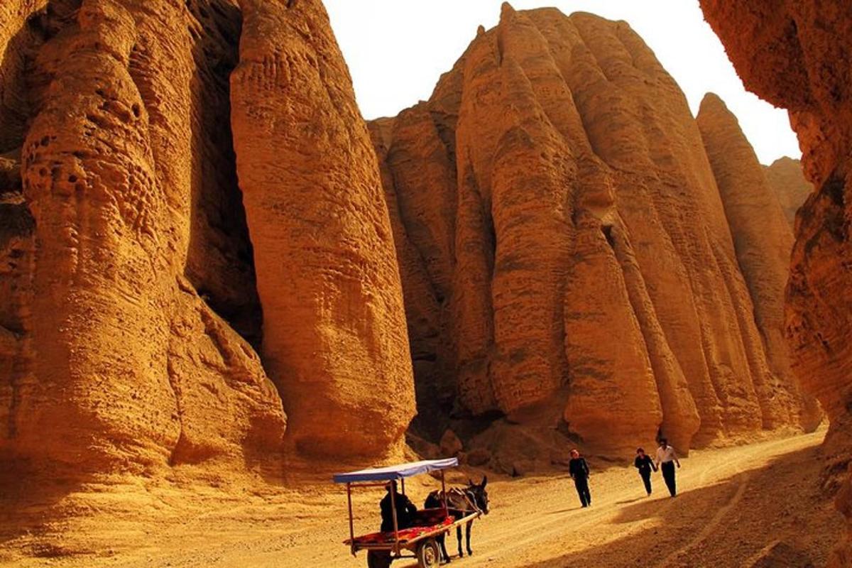 a group of people riding a horse drawn cart in a canyon