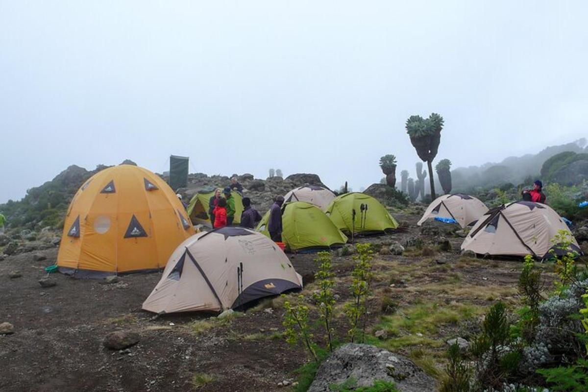 un grupo de tiendas de campaña en la cima de una montaña