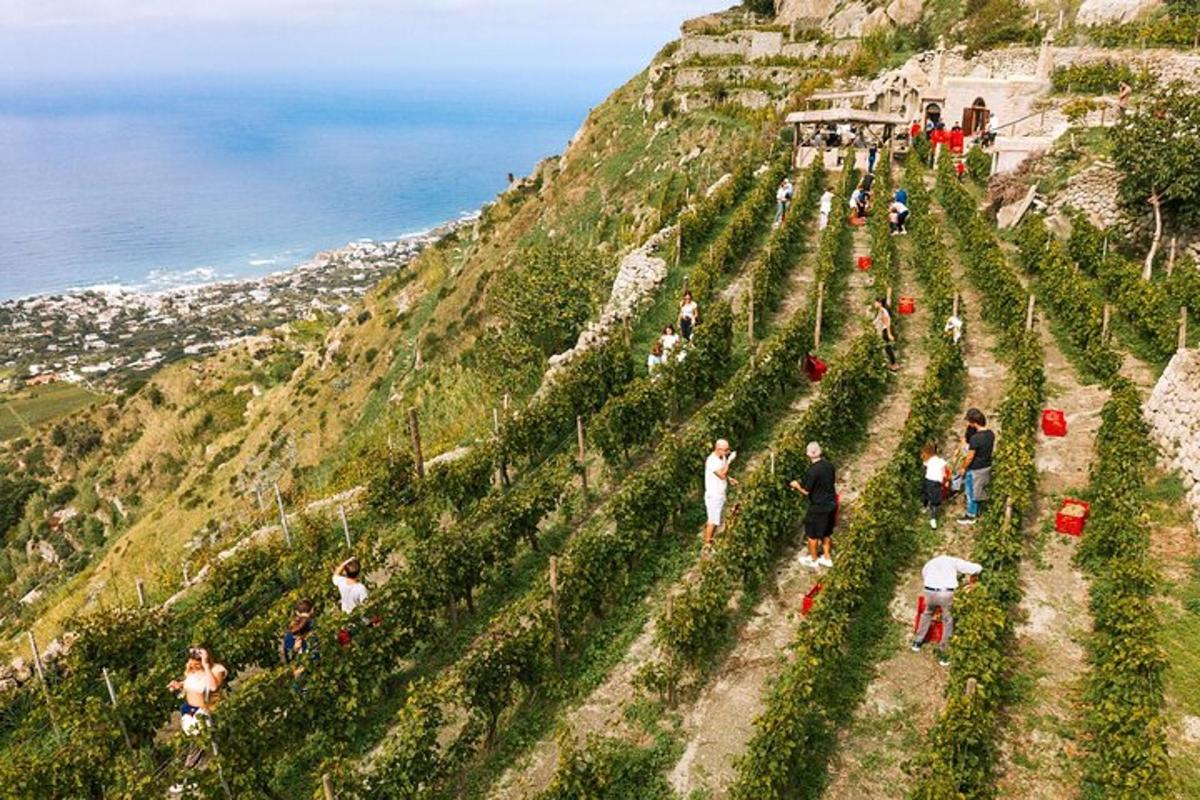 un grupo de personas de pie en la cima de una montaña