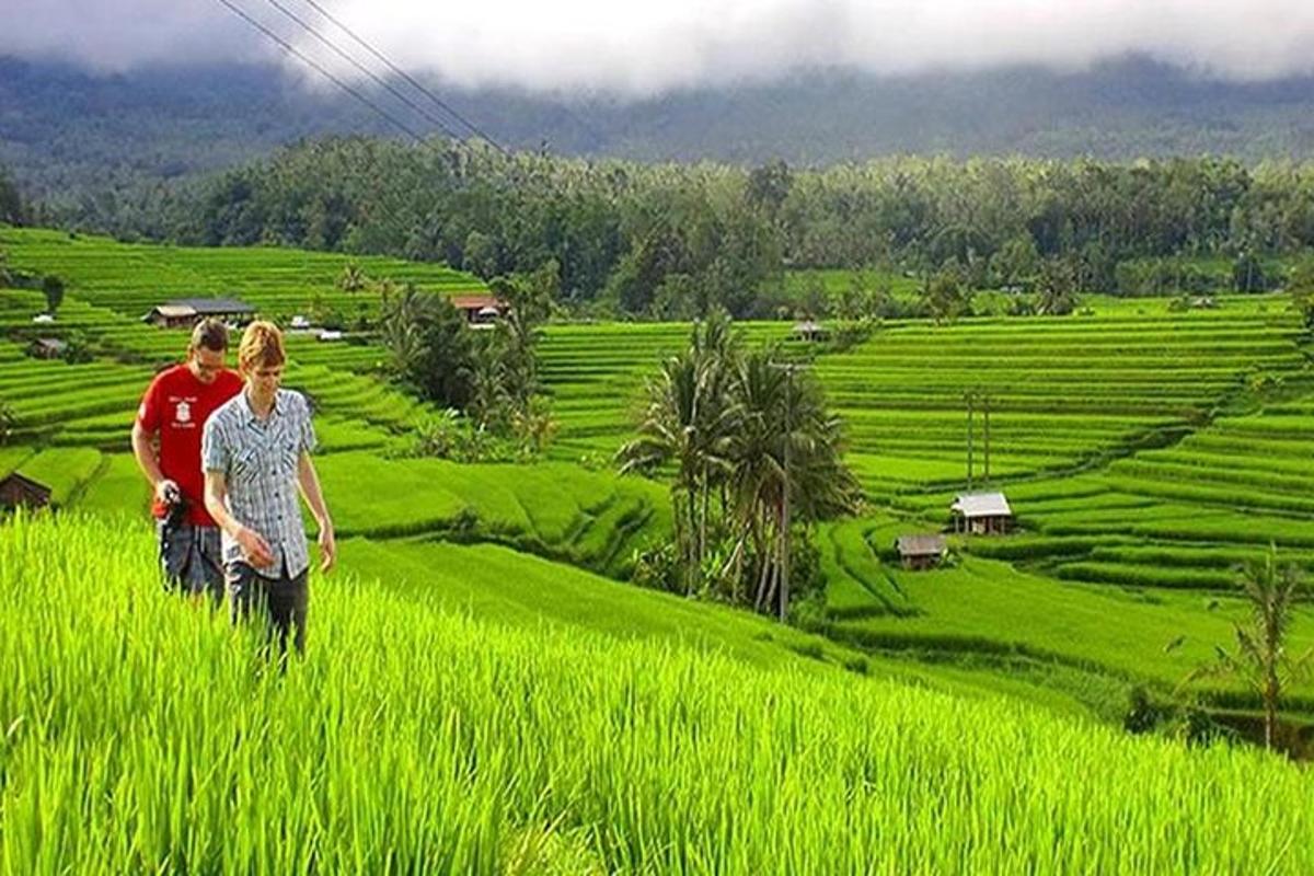 um homem e uma mulher em pé em um campo de grama