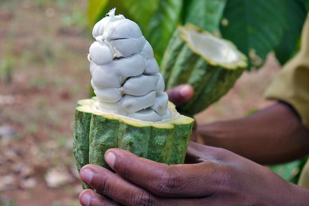 a person holding a piece of fruit with whipped cream on it