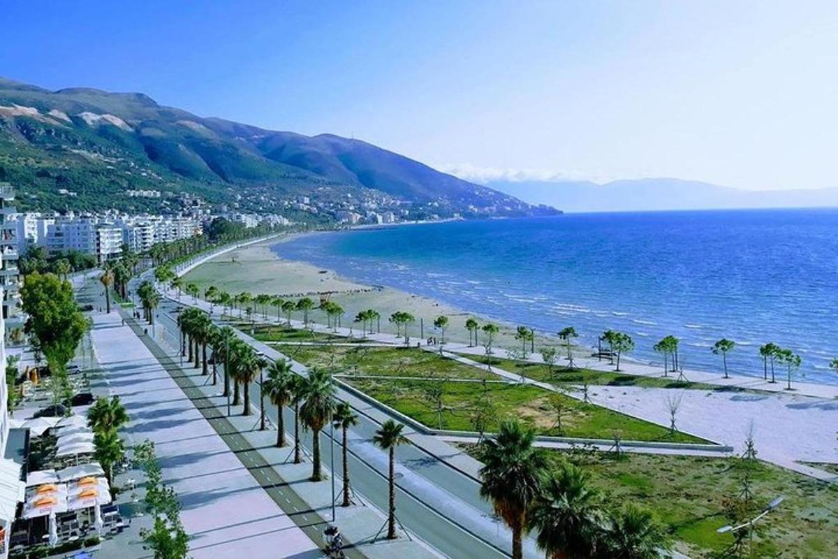pemandangan pantai dengan pokok palma dan lautan