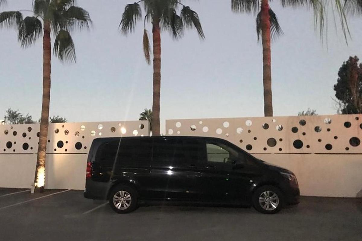 Una camioneta negra estacionada en un estacionamiento con palmeras