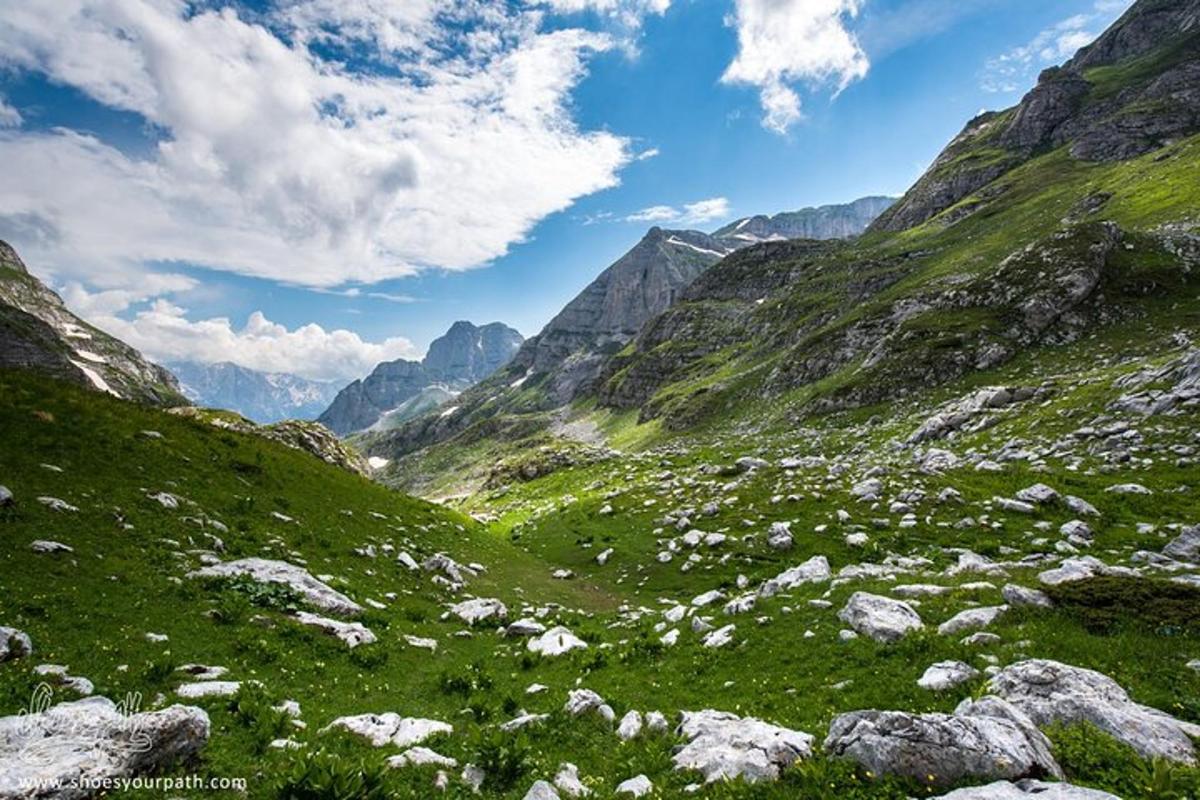 Una ladera verde con rocas, césped y montañas.