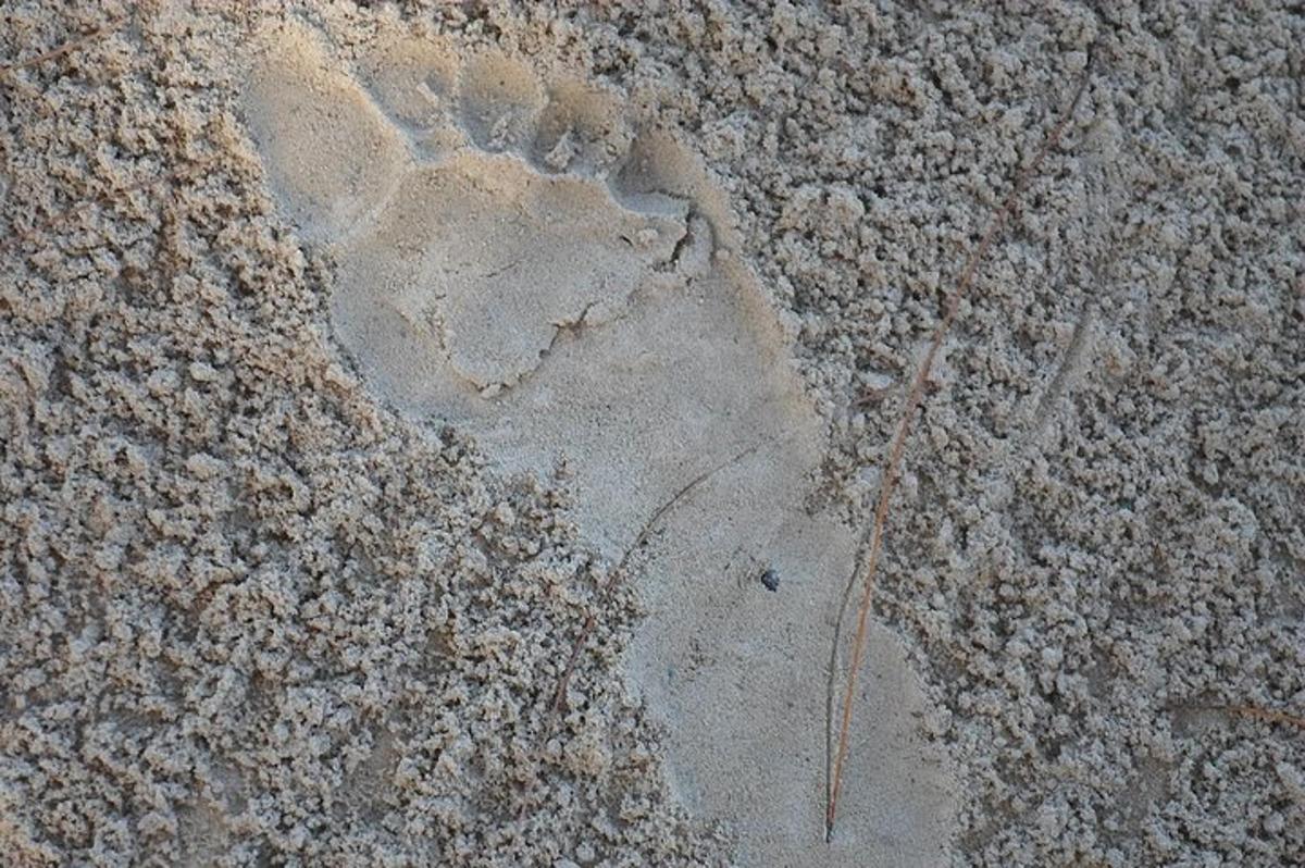 una petjada a la sorra a terra