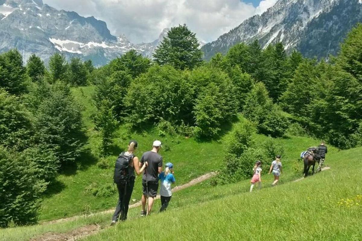 un grupo de personas caminando por un sendero en un campo