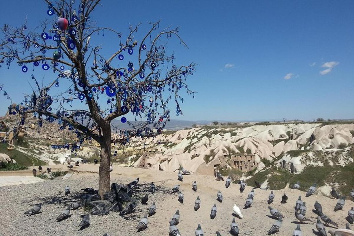 uno stormo di uccelli in piedi accanto a un albero