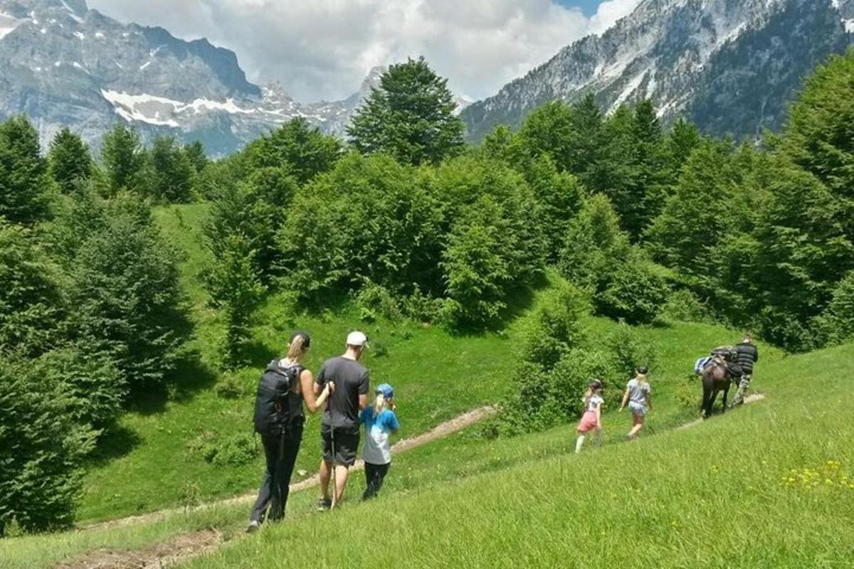 un gruppo di persone che camminano giù per una collina erbosa
