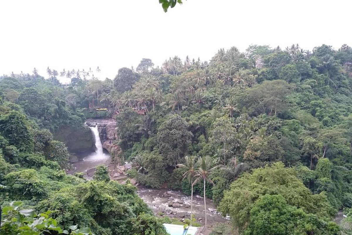 a waterfall in the middle of a forest