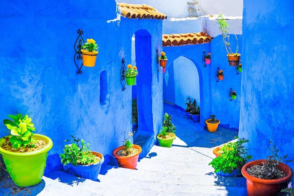 un bâtiment bleu avec des plantes en pot dessus