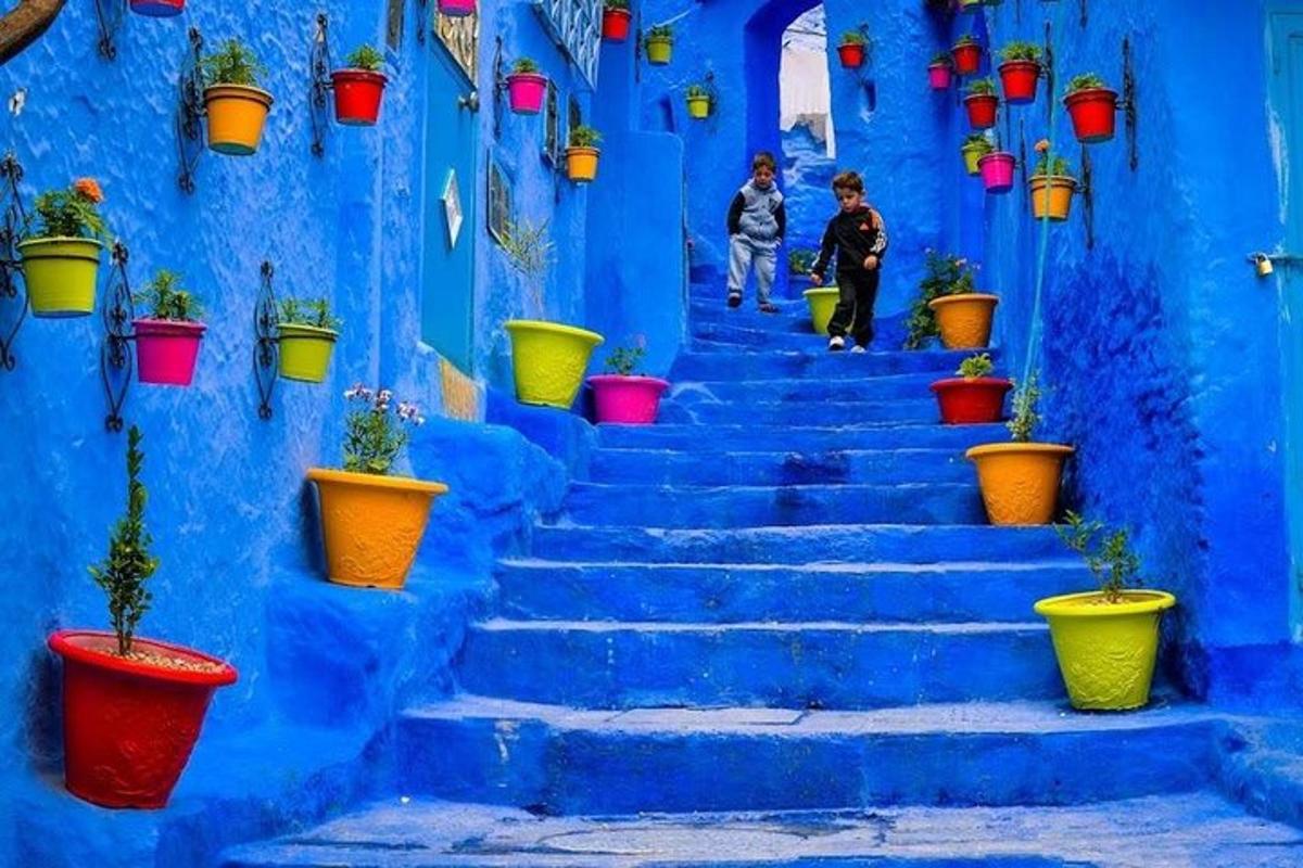 Una escalera en un edificio azul con plantas en macetas.