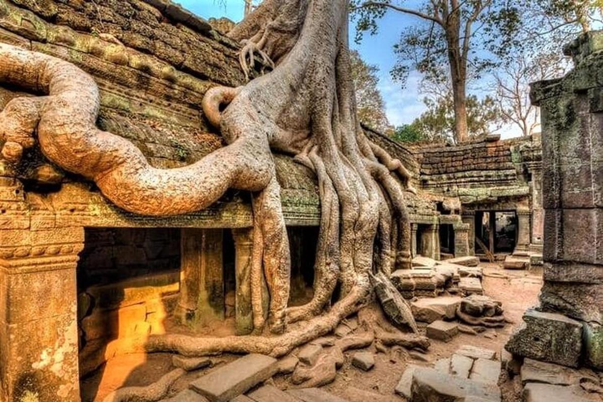 a building with tree roots on the side of it