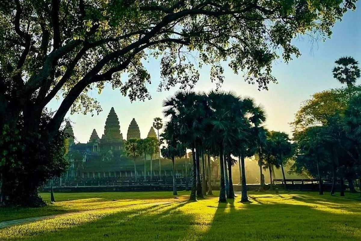 un parco con palme di fronte a un edificio