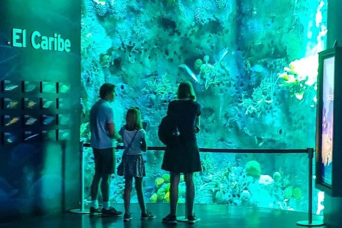 un gruppo di persone che guardano un acquario