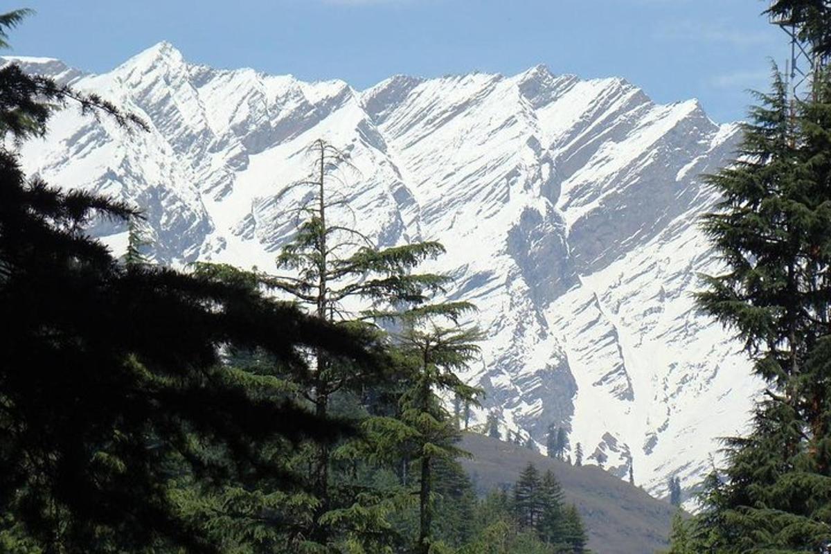 a snow covered mountain with trees in front of it