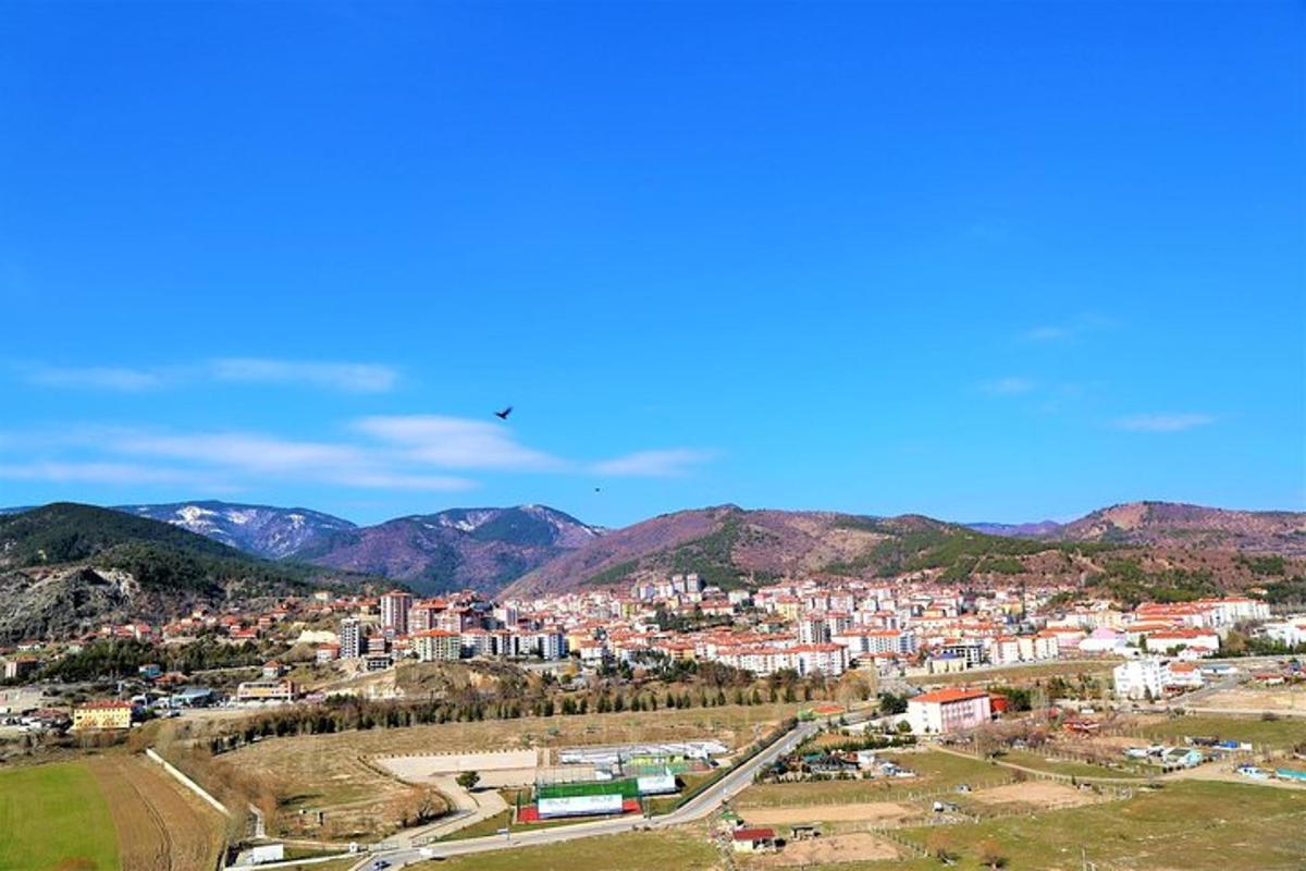 a view of a city with mountains in the background