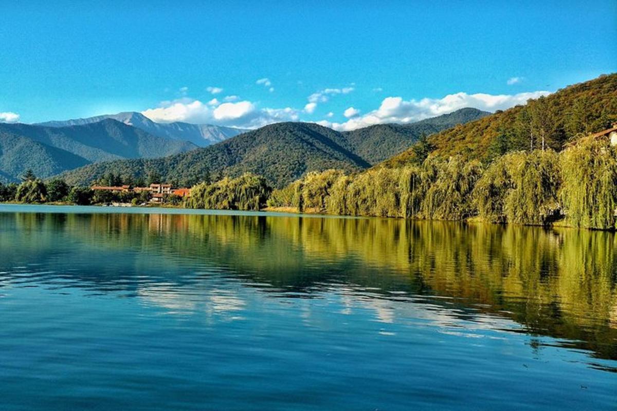 velké jezero se stromy a horami v pozadí