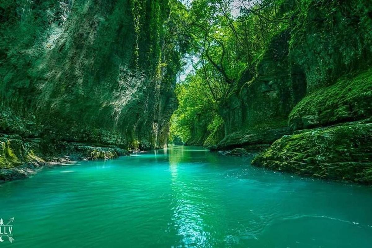 mavi su ve ağaçlarla dolu bir kanyondaki nehir