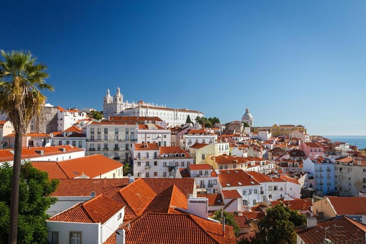 una vista de una ciudad con tejados rojos