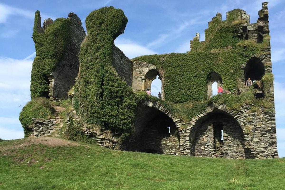 un vecchio edificio ricoperto di edera verde su una collina