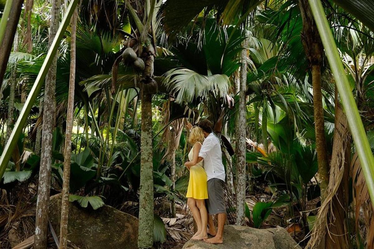 a man and a woman standing in the jungle