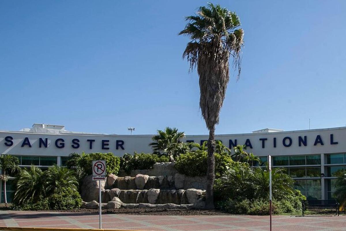 un aeroporto con una palma di fronte a un edificio