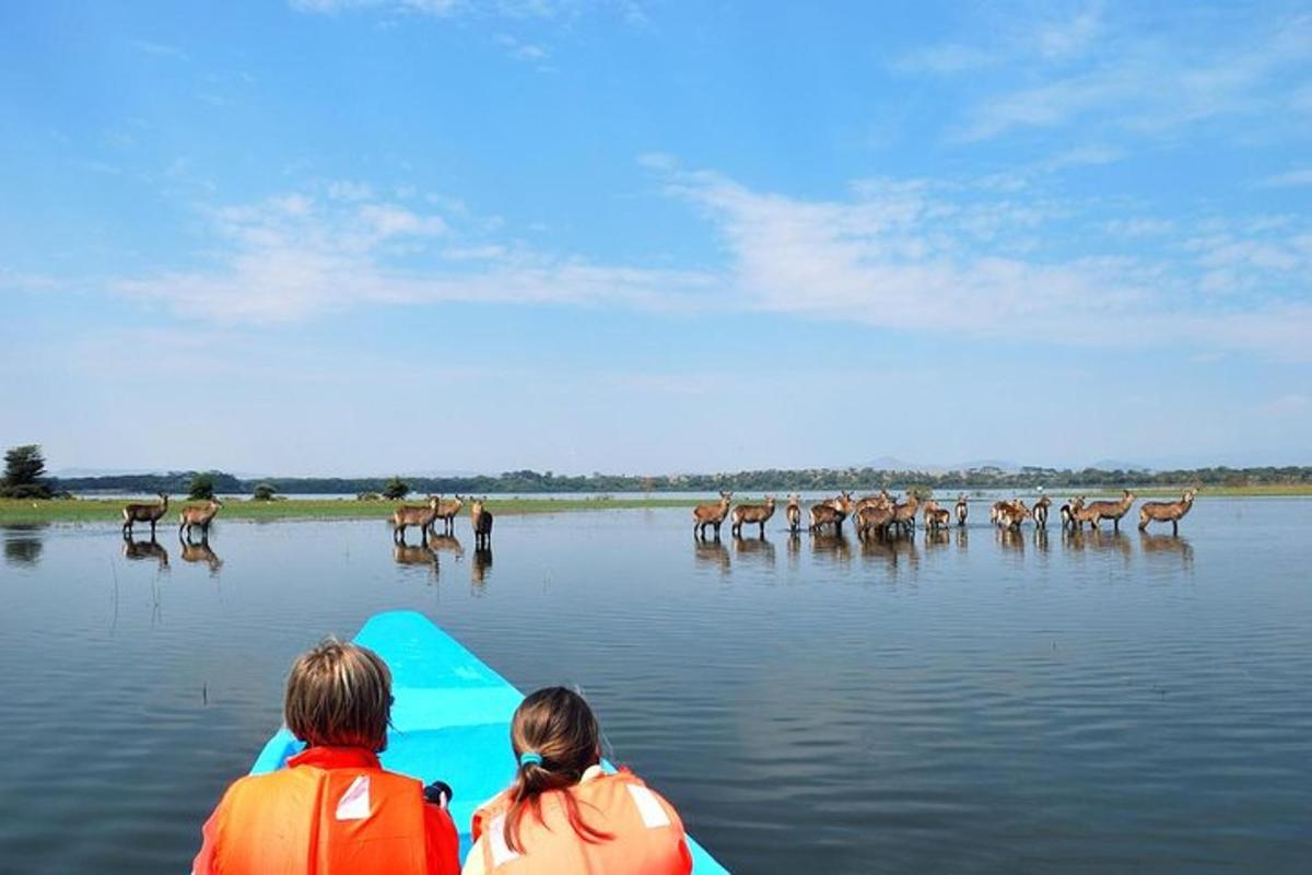 zwei Personen auf einem Kajak im Wasser mit Tieren im Wasser
