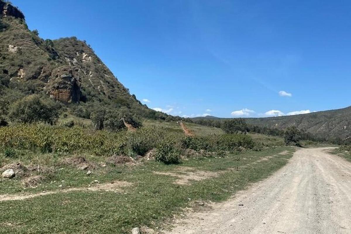 un camino de tierra en medio de una montaña