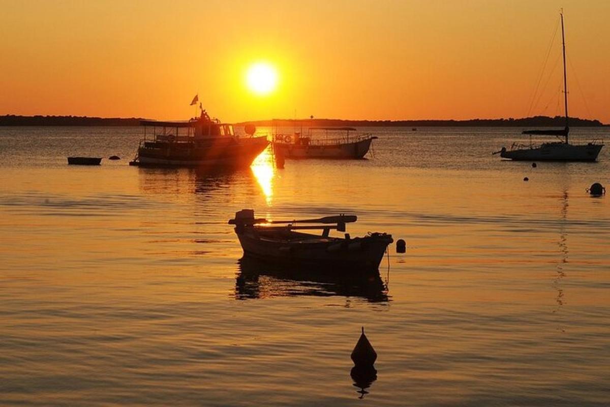 un gruppo di barche in acqua al tramonto