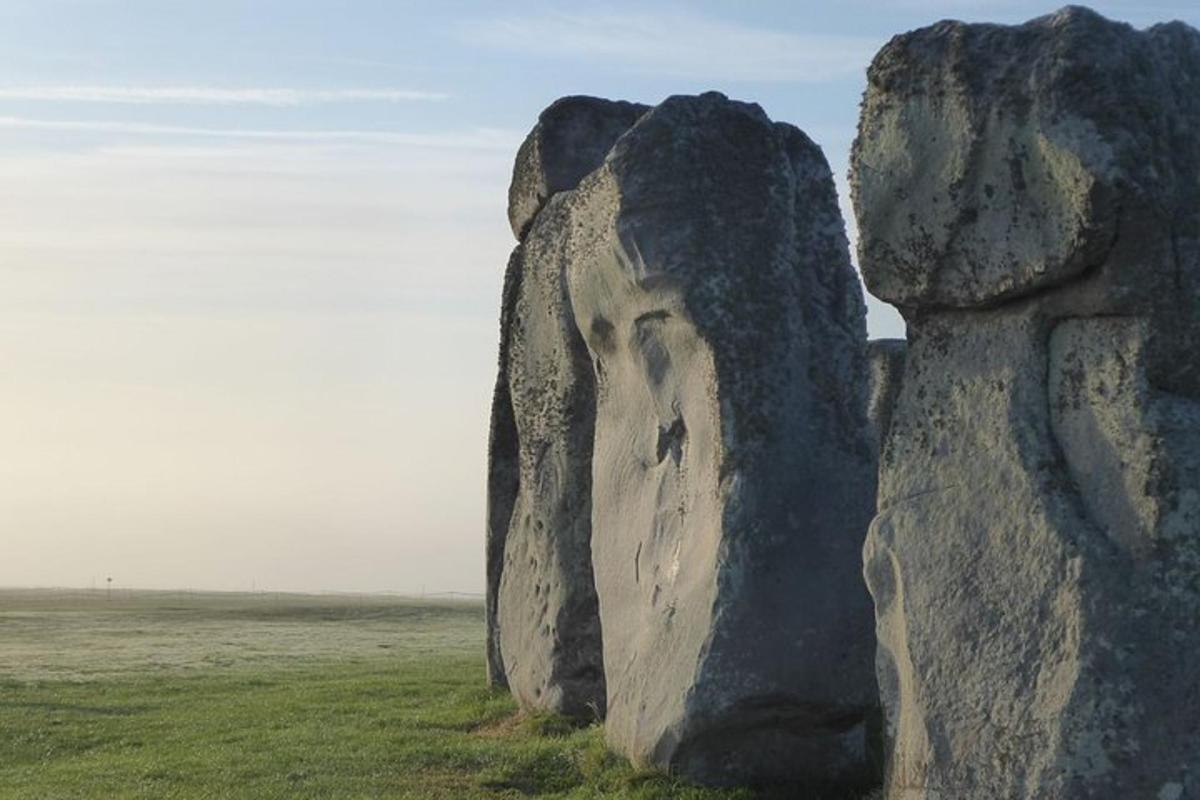 una grande roccia in mezzo a un campo