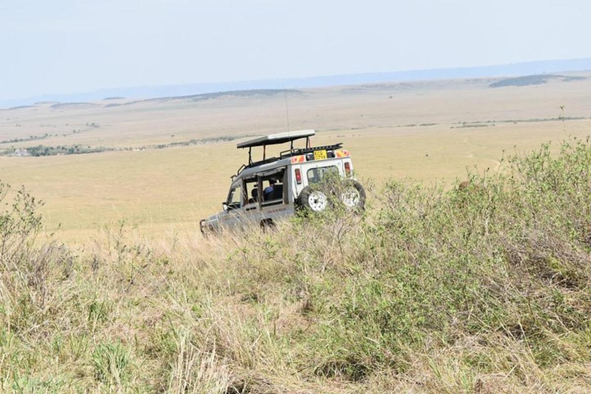 un veicolo da safari in mezzo a un campo