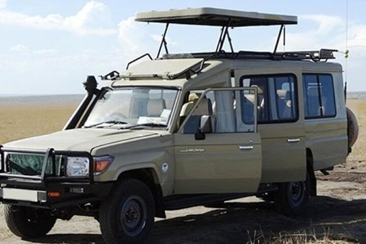zielony jeep zaparkowany na pustyni