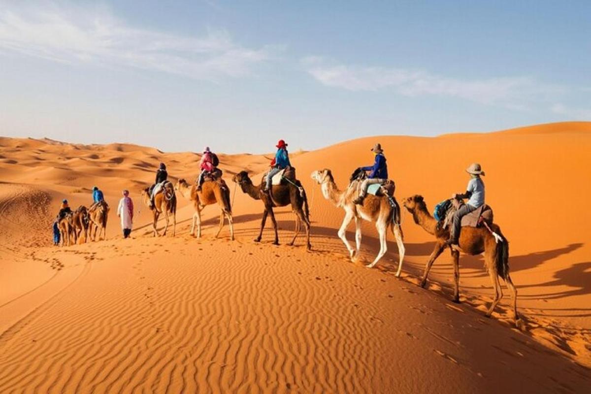 مجموعة من الناس يركبون الجمال في الصحراء