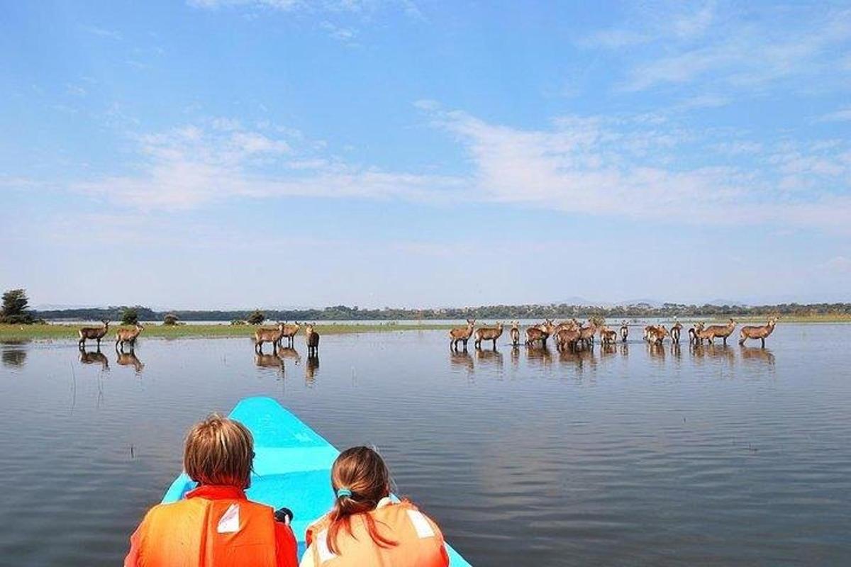 two people on a kayak in the water with animals in the water