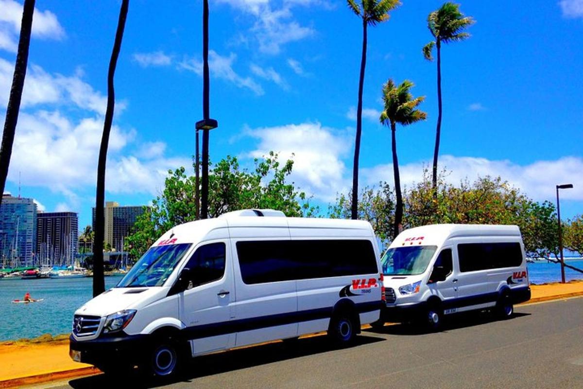 two white vans parked next to the water with palm trees