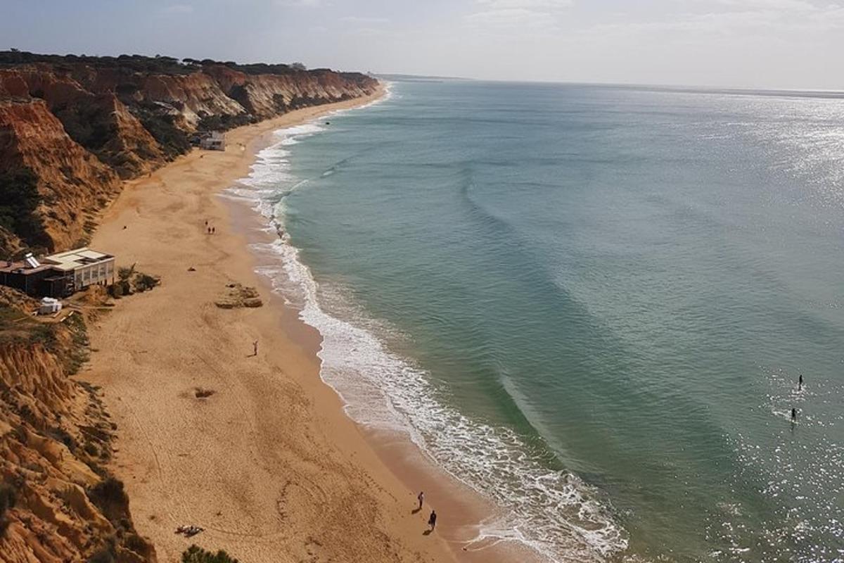 una vista aerea di una spiaggia vicino all'oceano
