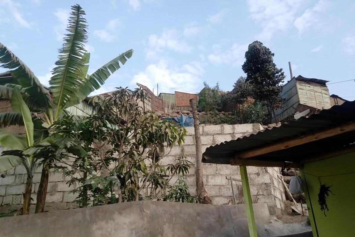 un cortile con un muro di pietra e alberi