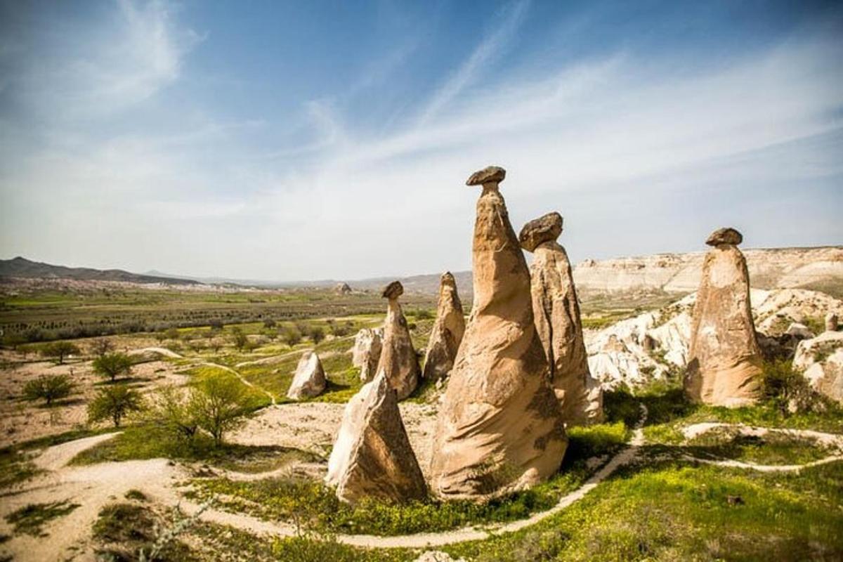 a group of tall rocks in a field