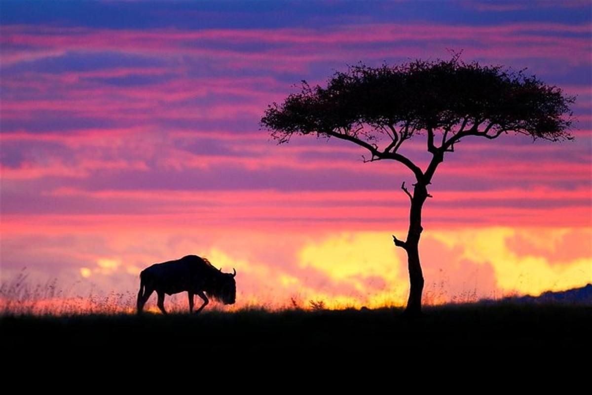 un rinoceronte che cammina in un campo accanto a un albero
