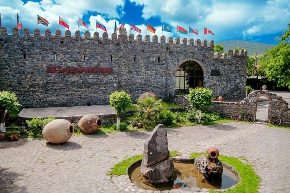 hrad s vlajkami před ním