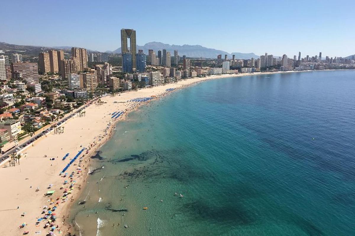 una vista aerea di una spiaggia e dell'oceano
