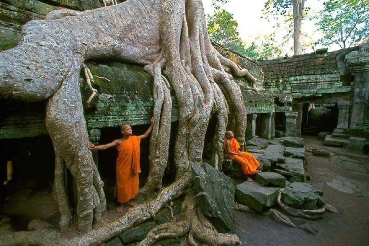 two men in orange robes standing under a tree
