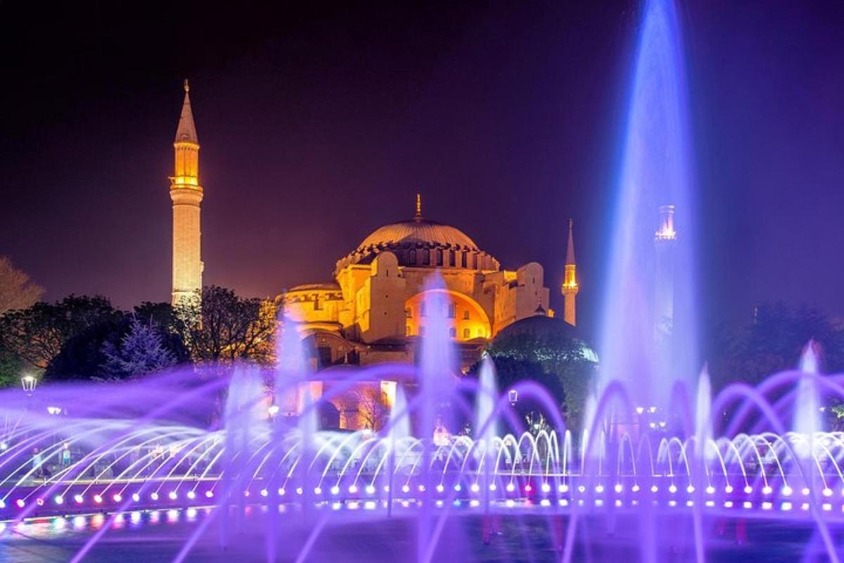 una moschea con una fontana di fronte di notte