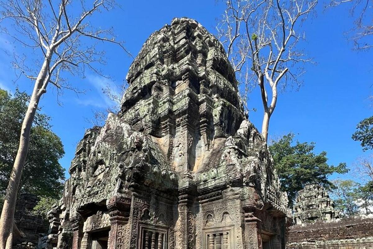 un gran edifici de pedra amb arbres al fons